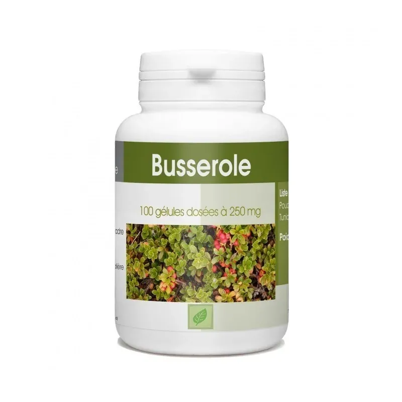 GPH DIFFUSION BUSSEROLE - 250 MG - 100 GÉLULES