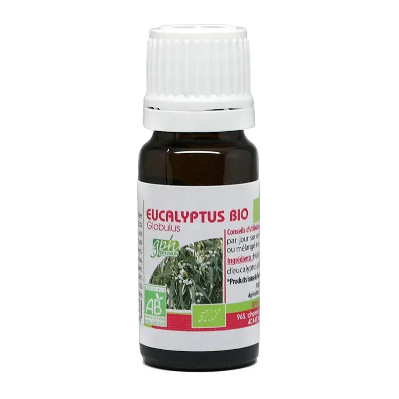 GPH Diffusion Huile Essentielle D'EUCALYPTUS GLOBULEUX BIO