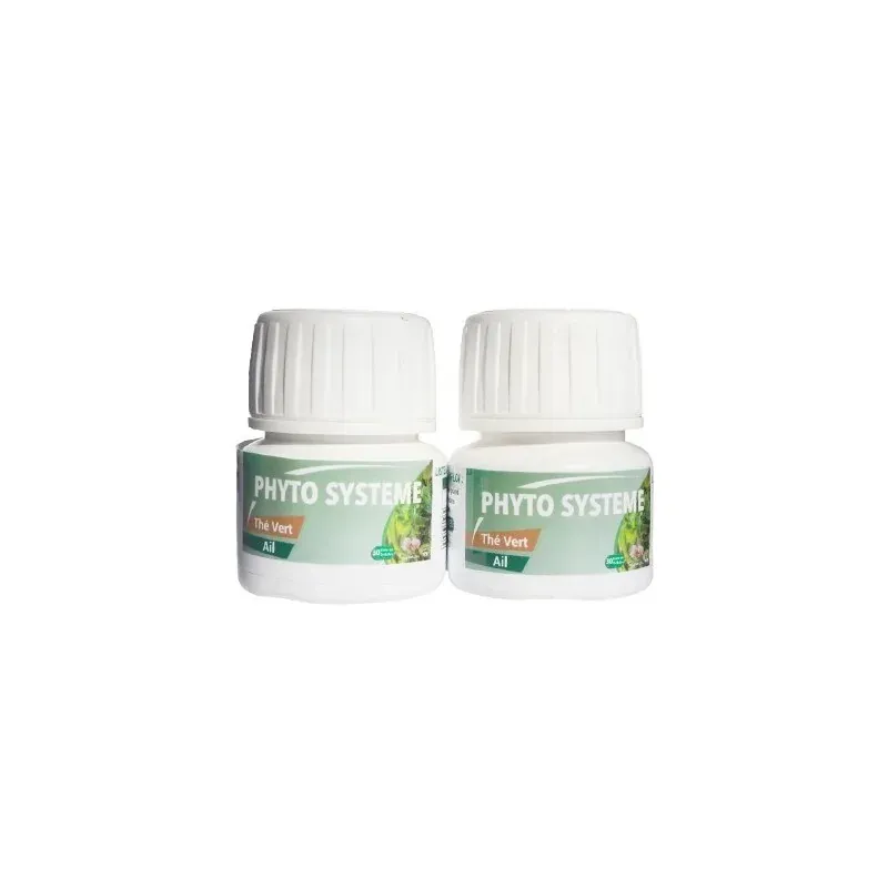 Phyto Système Thé Vert & Ail – 60 Gélules